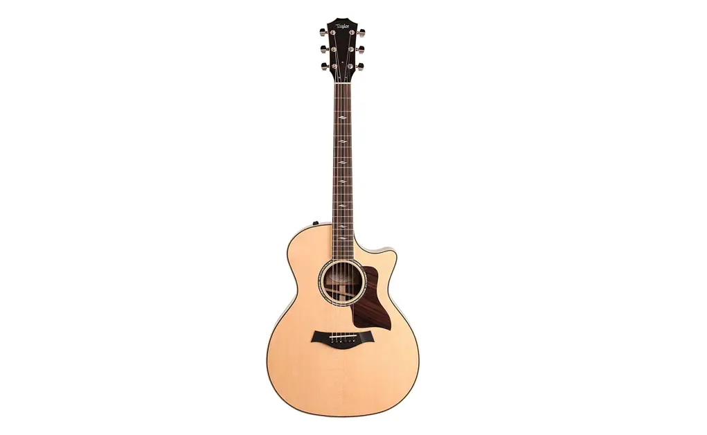 Taylor Acoustic Guitar Reviews
